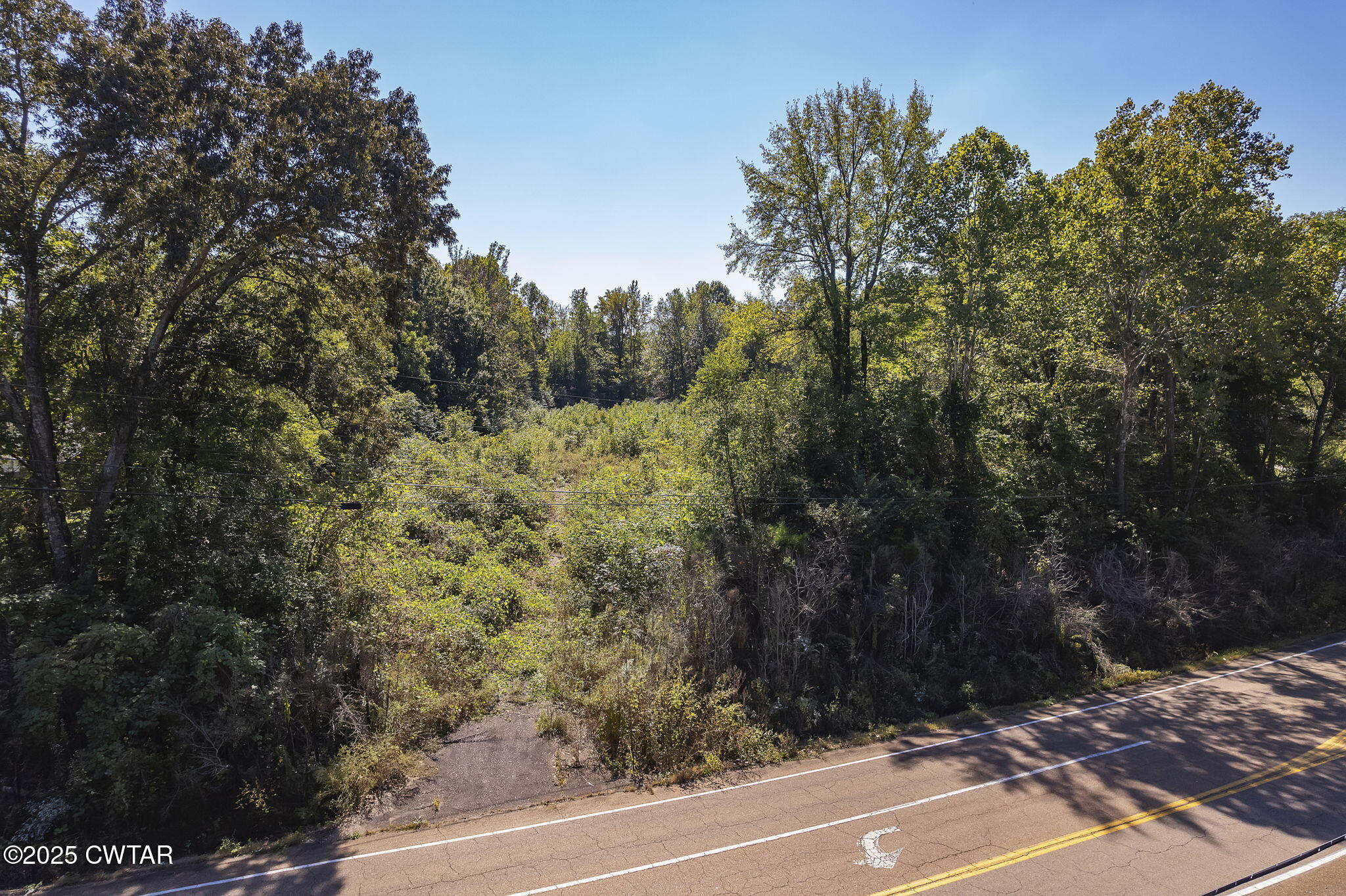 0 Beech Bluff Road Jackson, TN 38301 - Photo 5 of 15