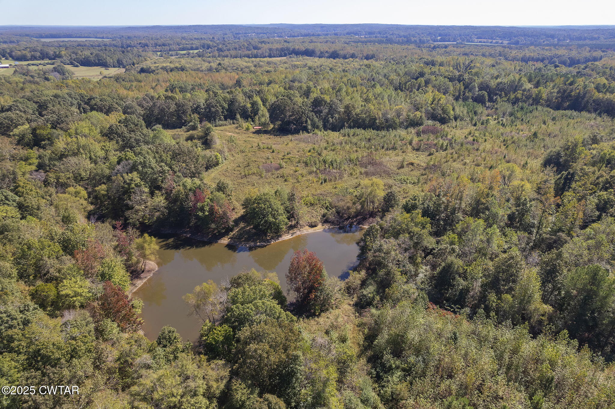 0 Beech Bluff Road Jackson, TN 38301 - Photo 9 of 15 a view of a forest with trees and mountains