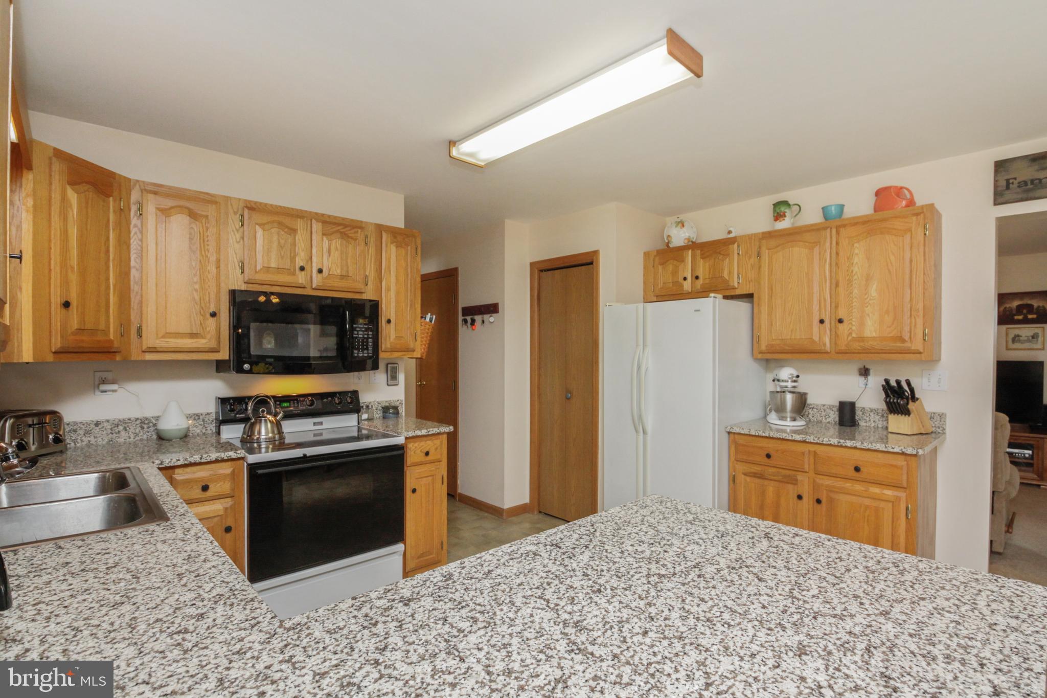 16 Cool Run Road Bridgeton, NJ 08302 - Photo 8 of 33 View of your Peninsula Island Granite Counter Tops