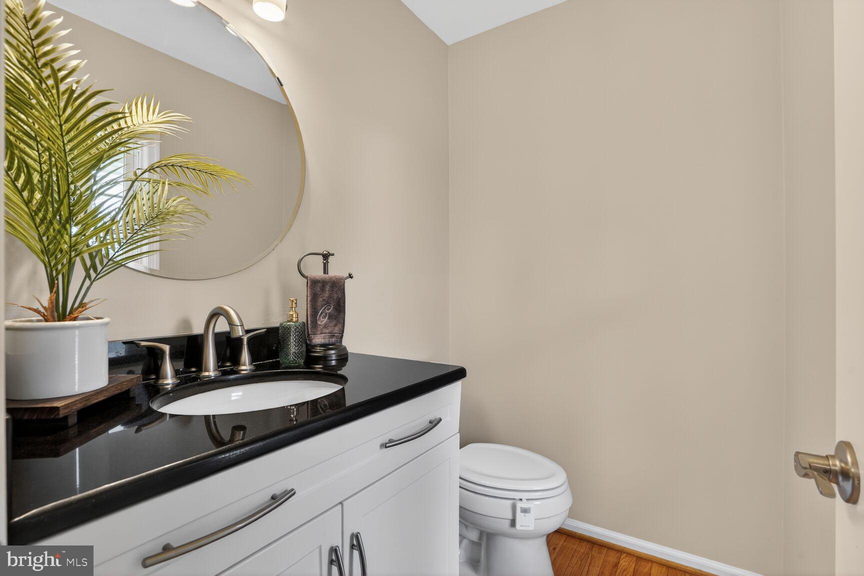 1354 Shallow Ford Road Herndon, VA 20170 - Photo 6 of 34 a bathroom with a sink and a toilet