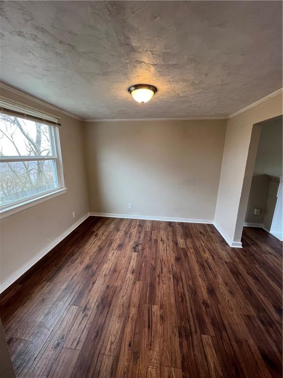 636 Springfield Street Pittsburgh, PA 15220 - Photo 4 of 13 Gallery Image 4
