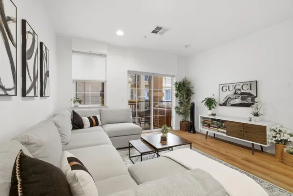 a living room with furniture a rug potted plant and a window