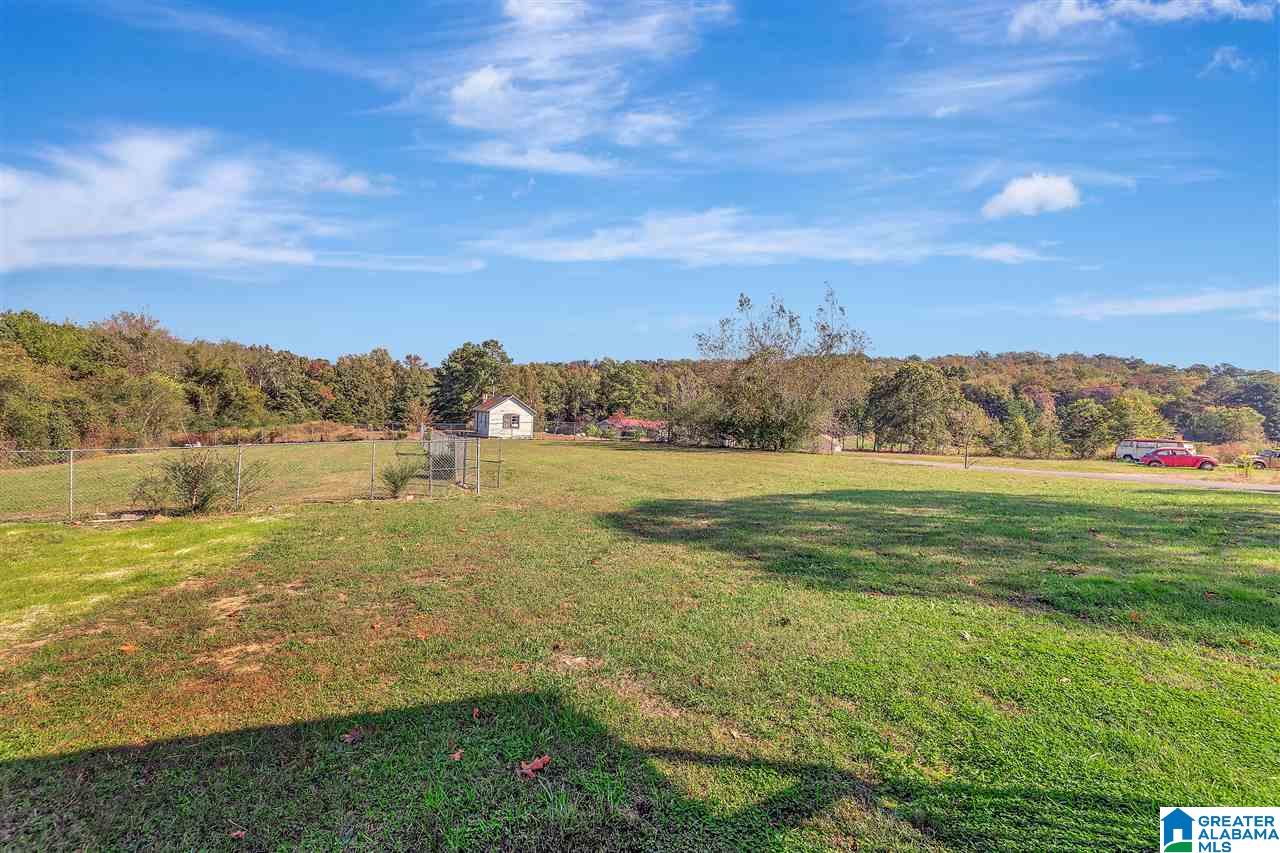 12 New Hope Road Springville, AL 35146 - Photo 31 of 36