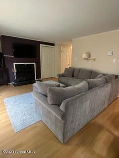 16 Freebern Road, Unit 16B Johnsburg, NY 12853 - Photo 7 of 19 16B LR 1