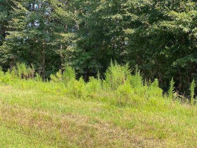 0 Green Road Dothan, AL 36303 - Photo 4 of 6