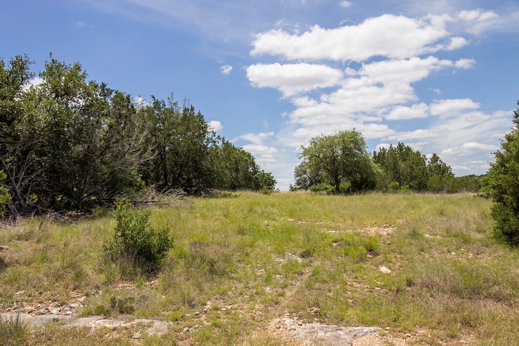 0 L And M Ranch Junction Junction, TX 76849 - Photo 22 of 27