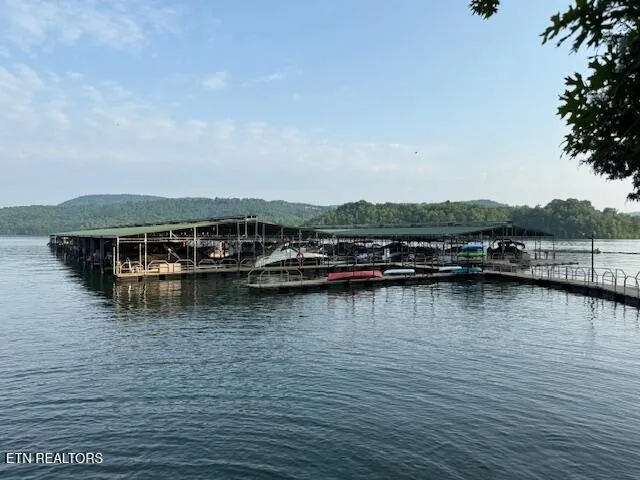 $1,375,000 | 888 Smokey Quartz Boulevard, New Tazewell, TN 37825