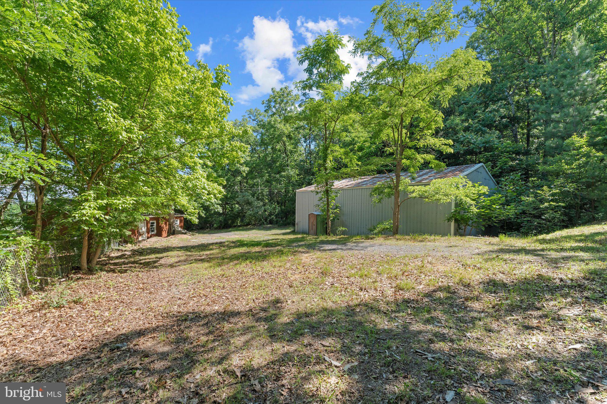202 Cedar Grove Road Winchester, VA 22603 - Photo 13 of 21 Serene wooded lot with spacious potential.