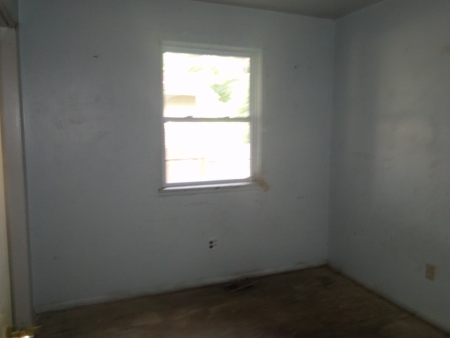 31390476-5.JPG