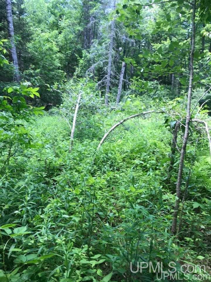 Tbd Floodwood Road Republic, MI 49879 - Photo 5 of 7