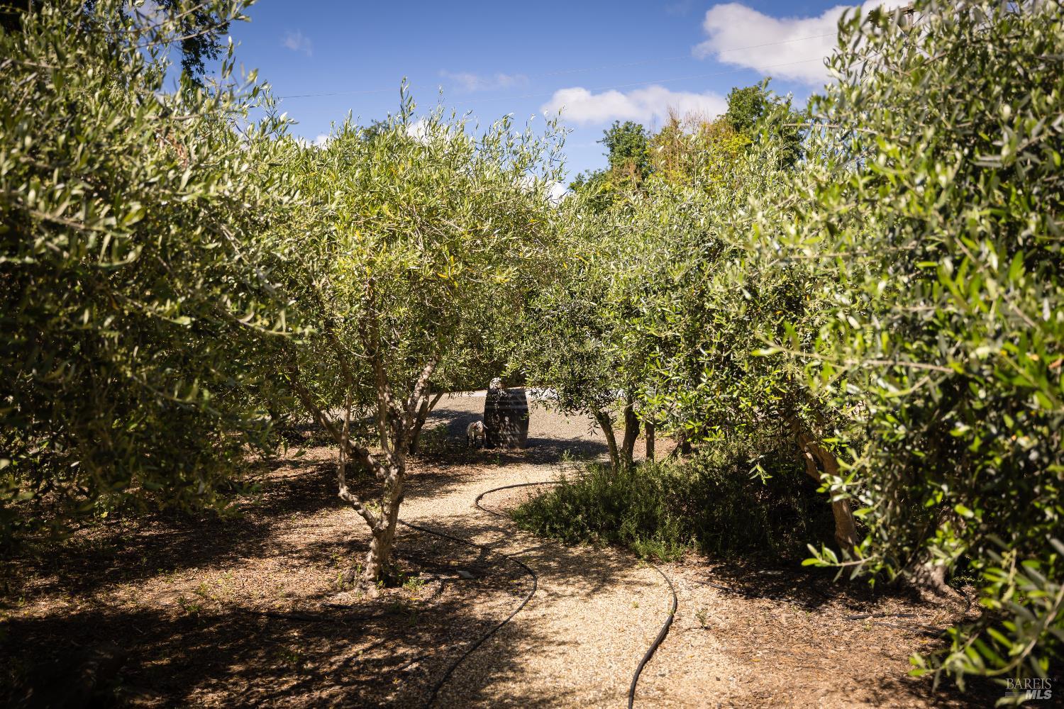 8811 Egg Farm Road Kenwood, CA 95452 - Photo 34 of 42