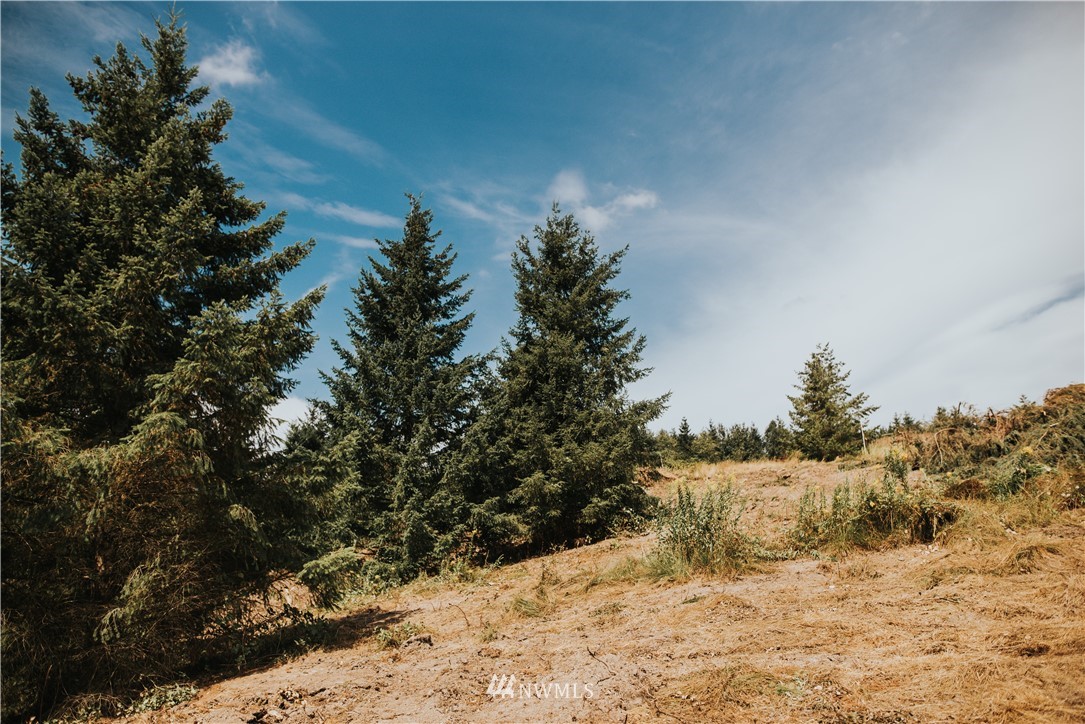 240 Beasley Road Kelso, WA 98626 - Photo 12 of 14 Gallery Image 12