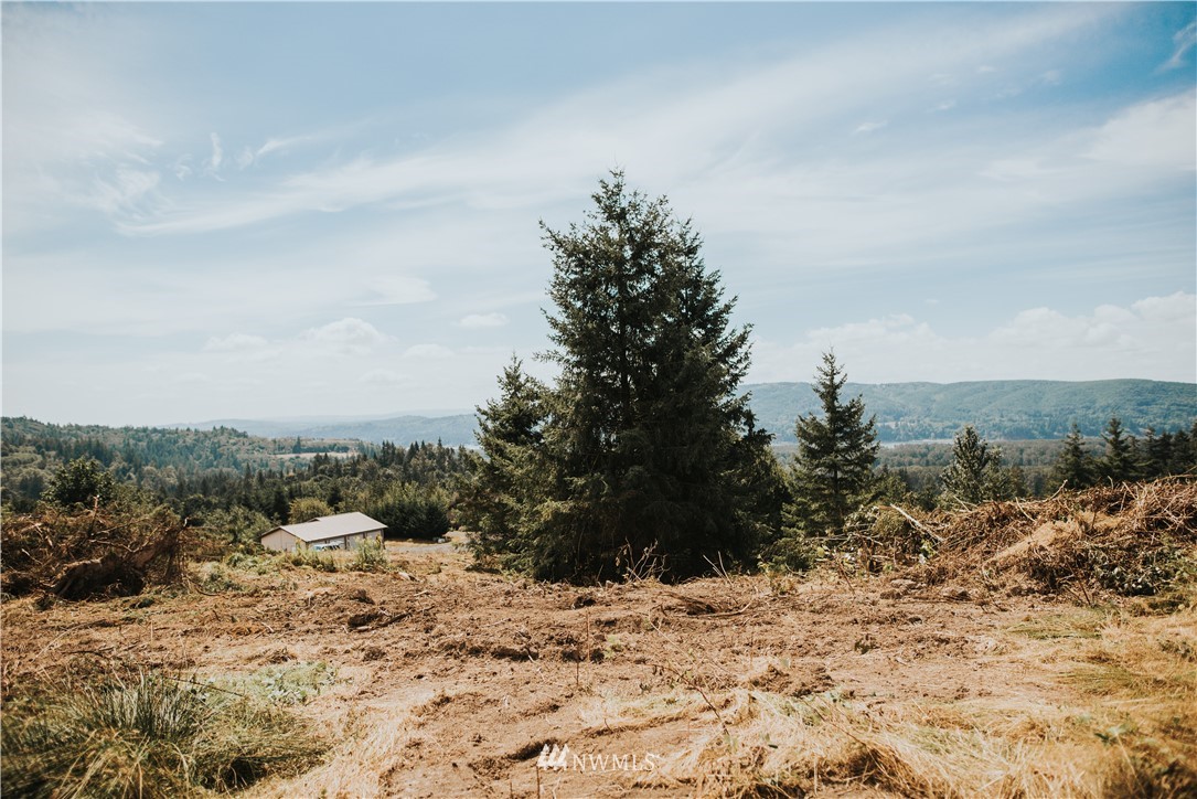 240 Beasley Road Kelso, WA 98626 - Photo 4 of 14 Gallery Image 4