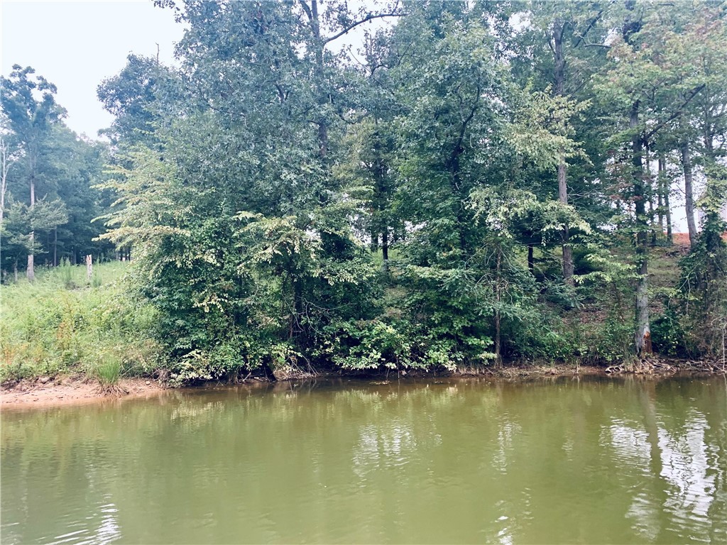 0 Jackson Road Iva, SC 29655 - Photo 4 of 26