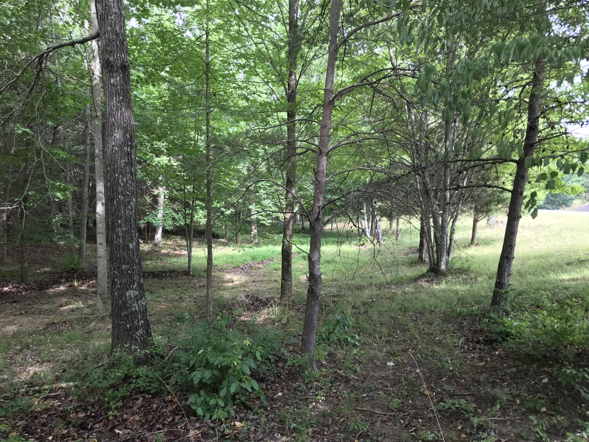 0 Quail Trail Dunlap, TN 37327 - Photo 30 of 36