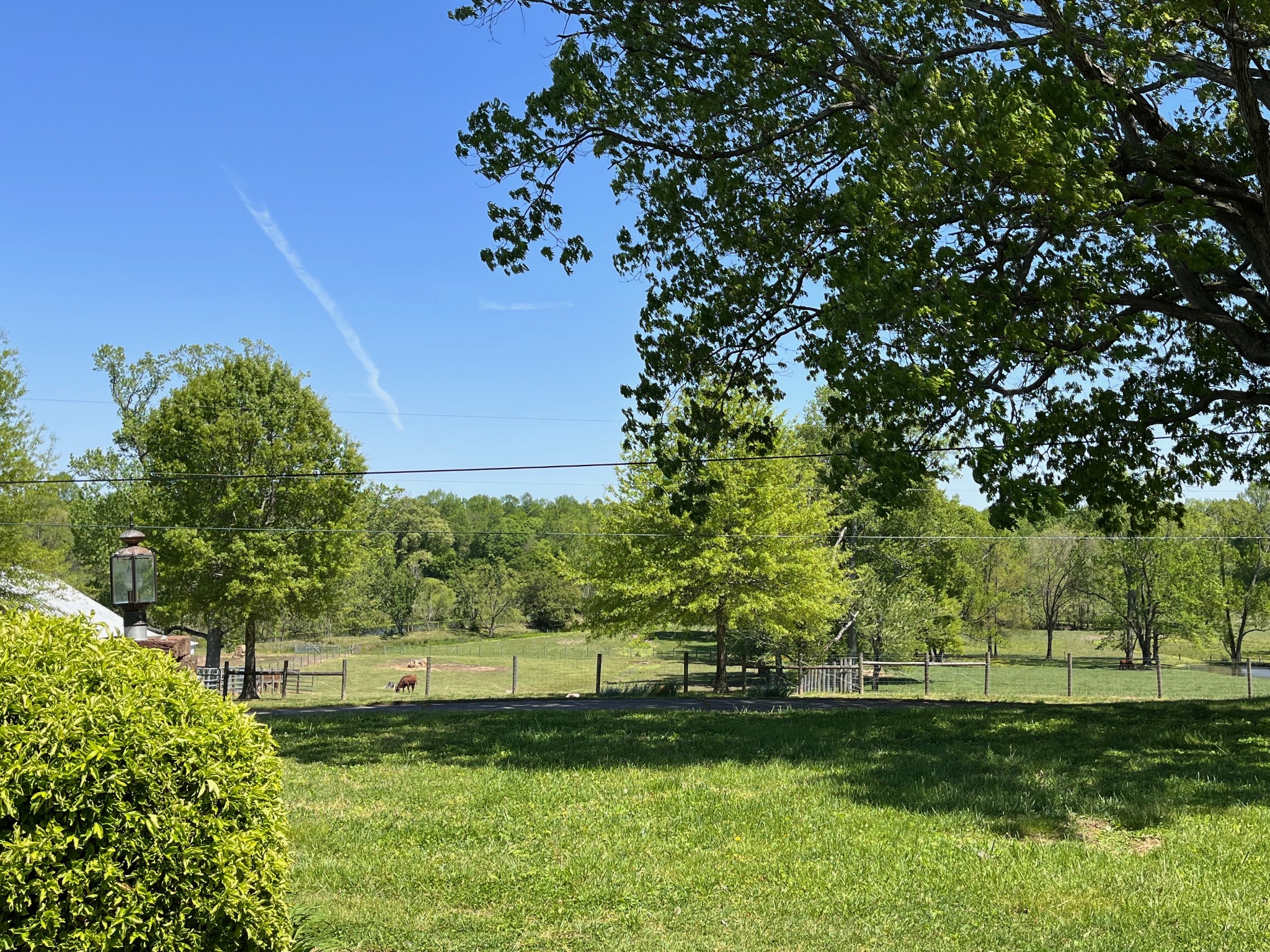 533 Corders Crossroads Road Fayetteville, TN 37334 - Photo 14 of 47 Gallery Image 14