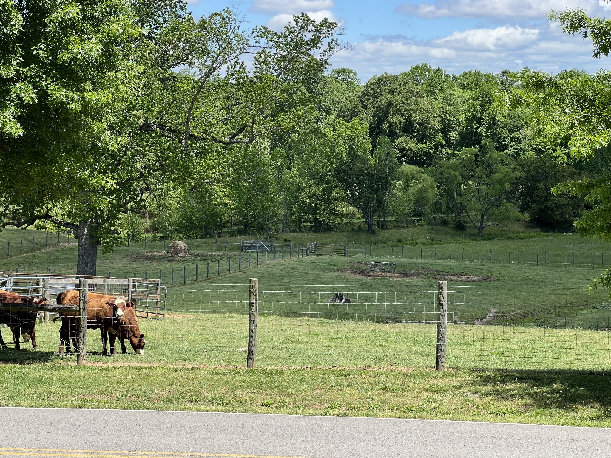 533 Corders Crossroads Road Fayetteville, TN 37334 - Photo 15 of 47 Gallery Image 15