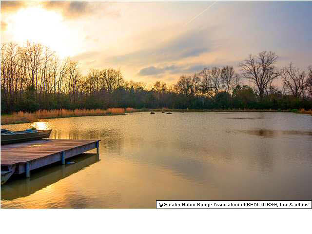10222 South Tiger Bend Road Baton Rouge, LA 70817 - Photo 25 of 25 Gallery Image 25