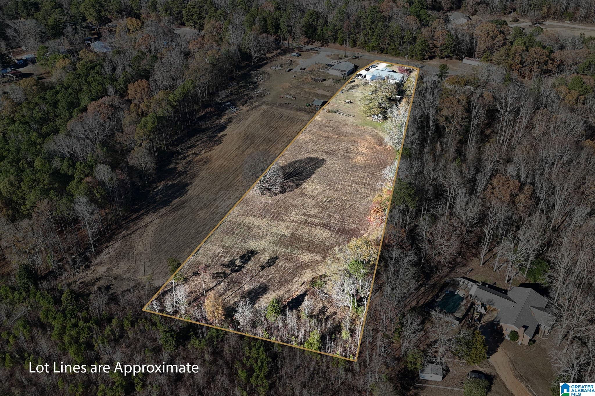 14365 Wire Road Cottondale, AL 35453 - Photo 39 of 46