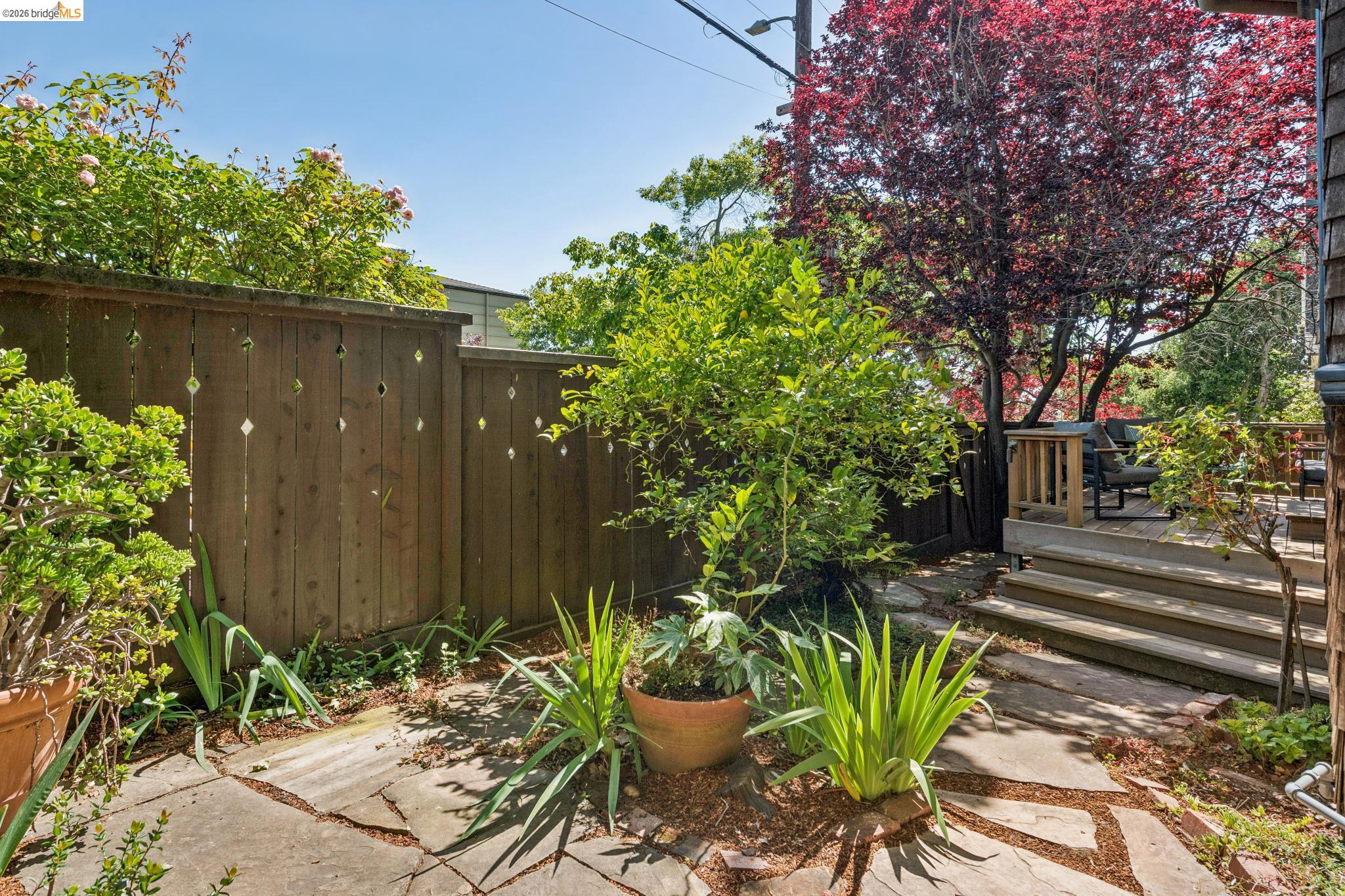 1490 Arch Street Berkeley, CA 94708 - Photo 49 of 57