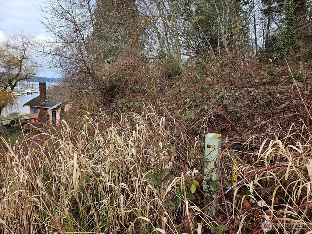 a view of a backyard of the house