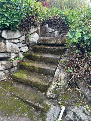 a backyard of a house with lots of green space