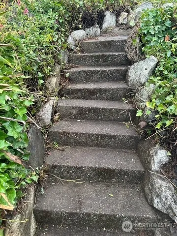 a view of backyard with a chair