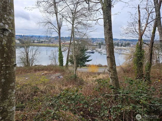 a view of a yard with an trees