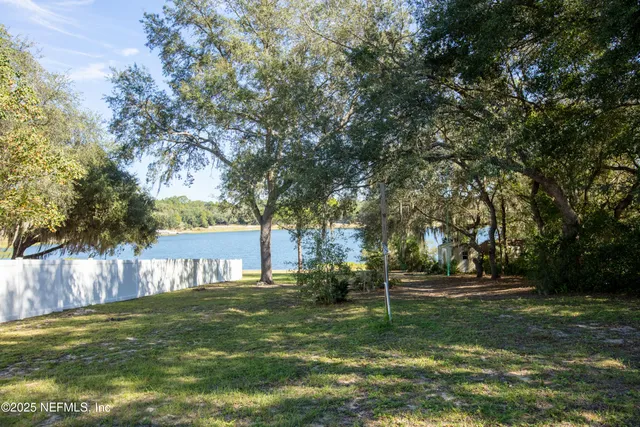 a view of a park with large trees