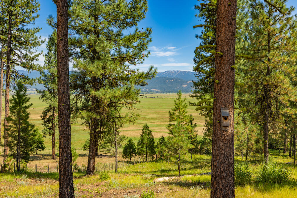 Lot 10 Timber Ridge Drive, Unit 10 New Meadows, ID 83654 - Photo 9 of 20 Gallery Image 9