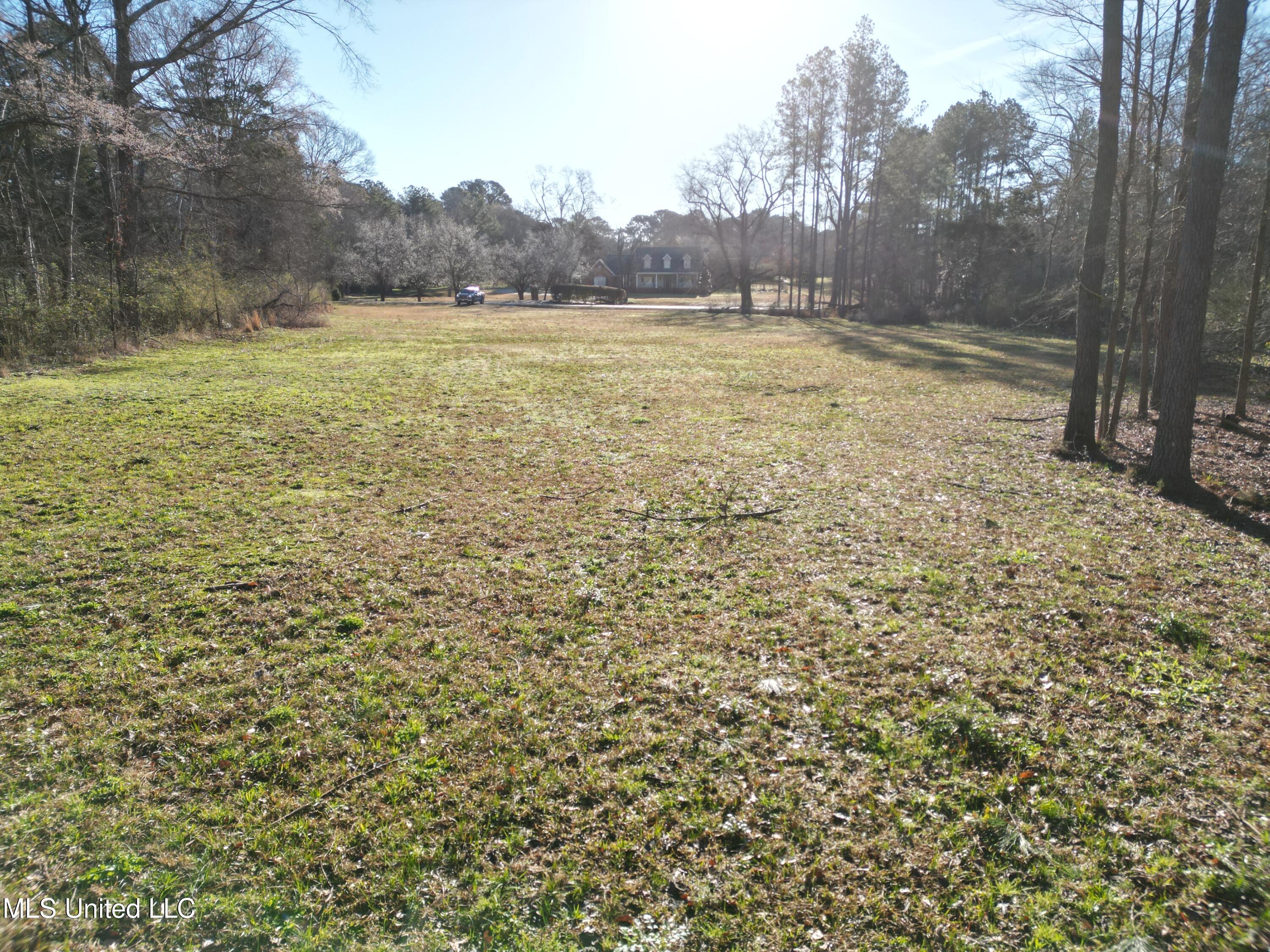224 Fox Lane Canton, MS 39046 - Photo 4 of 13 224 Fox Lane_4