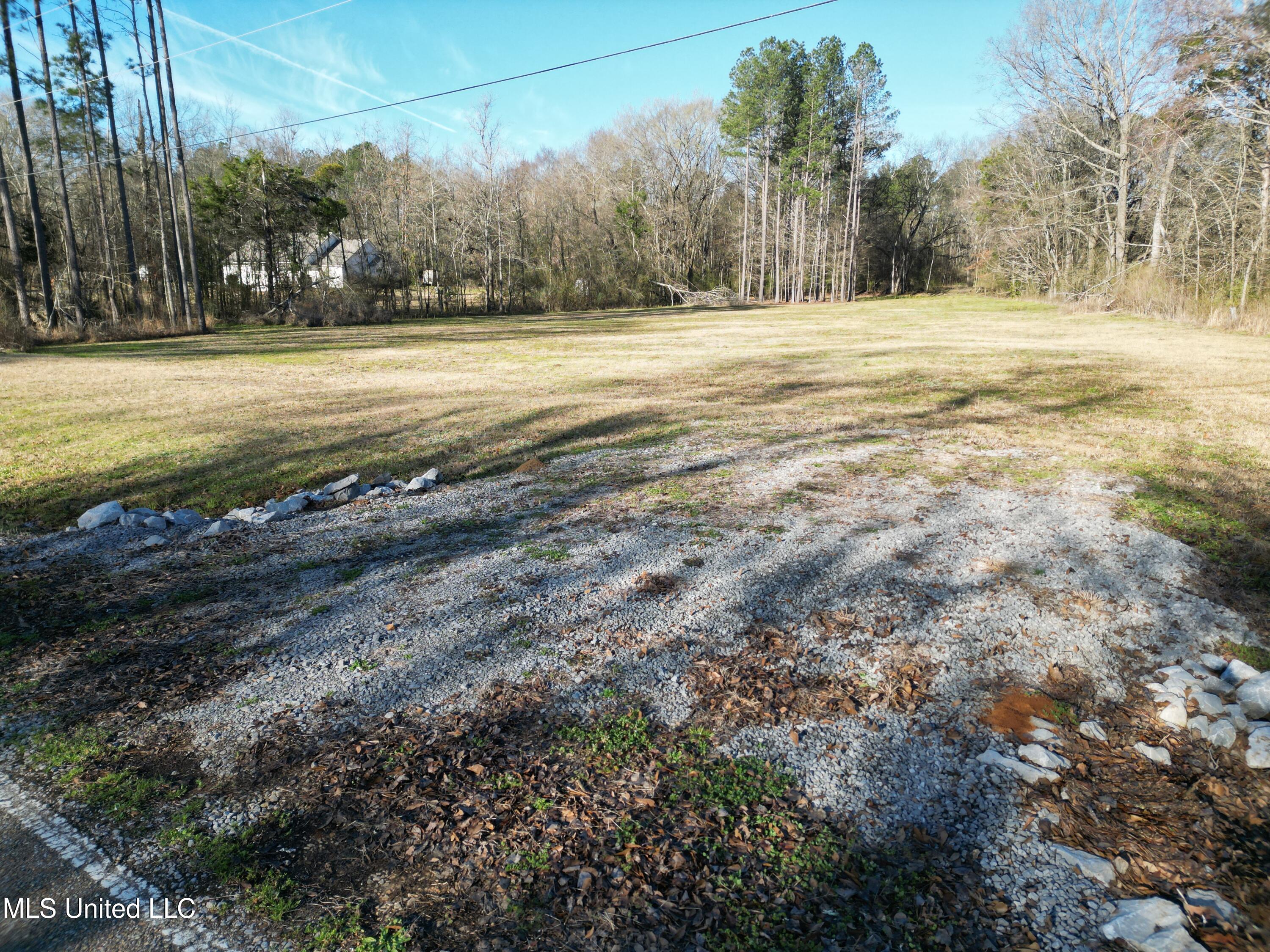 224 Fox Lane Canton, MS 39046 - Photo 5 of 13 224 Fox Lane_5