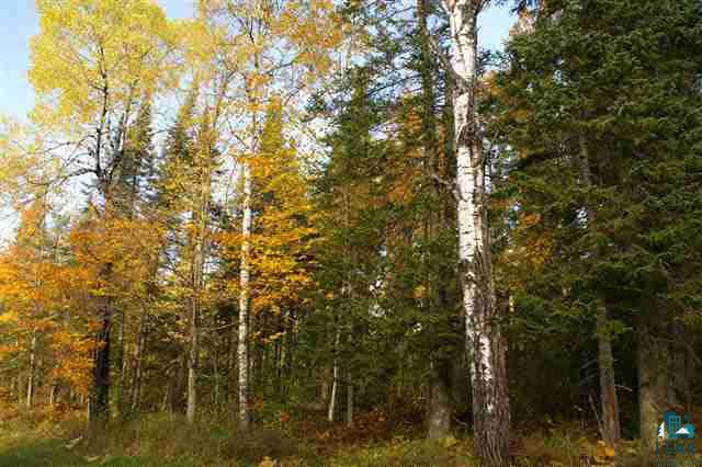 Xxx Horstman Road Mason, WI 54856 - Photo 2 of 6