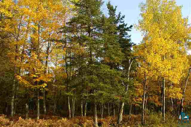 Xxx Horstman Road Mason, WI 54856 - Photo 3 of 6