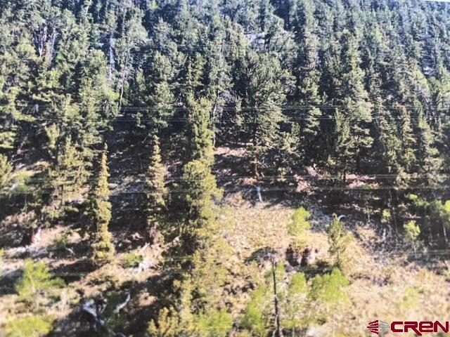 766 Rd Pitkin Co 81241 Road Ohio City, CO 81237 - Photo 3 of 4