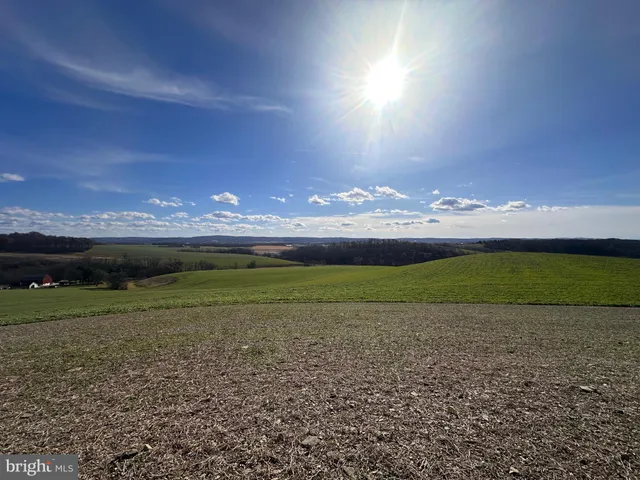 a view of big yard and a big yard