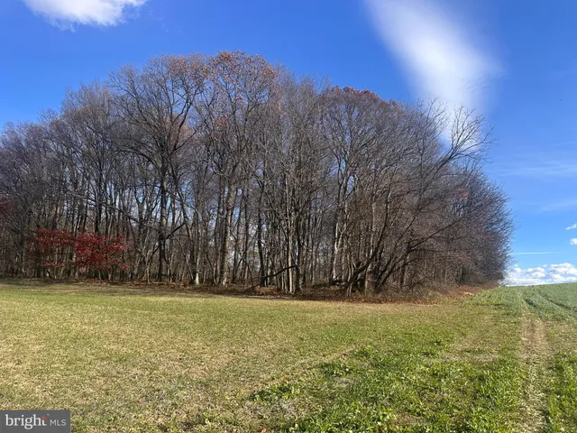 a view of outdoor space