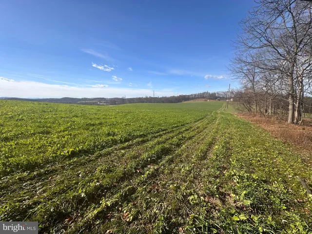 a view of an ocean and a yard
