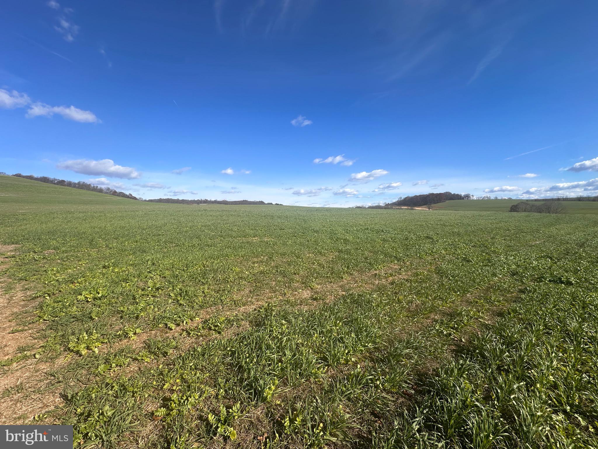 0 Siegfriedale Road Kutztown, PA 19530 - Photo 5 of 21 a view of a big yard with an outdoor space and seating