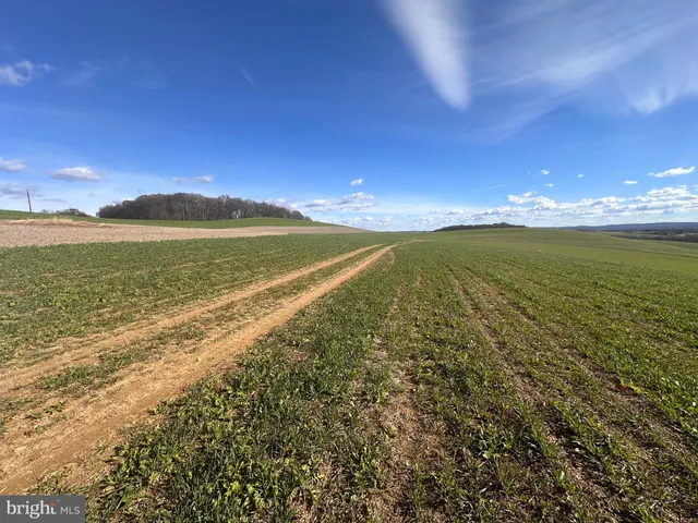 a view of an ocean from a city