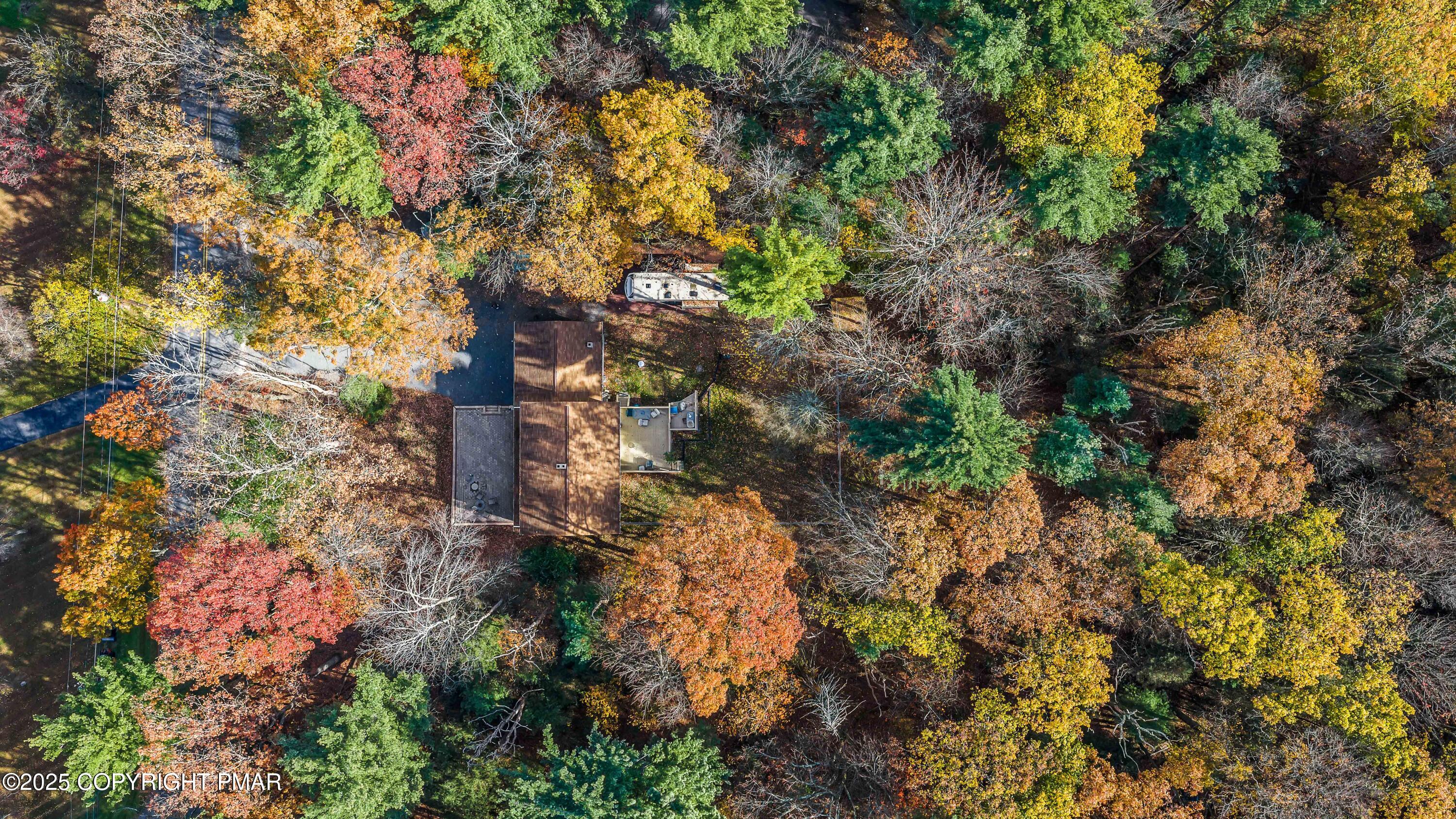 587 Long Mountain Road Effort, PA 18330 - Photo 25 of 29 a backyard of a house with lots of plants and trees