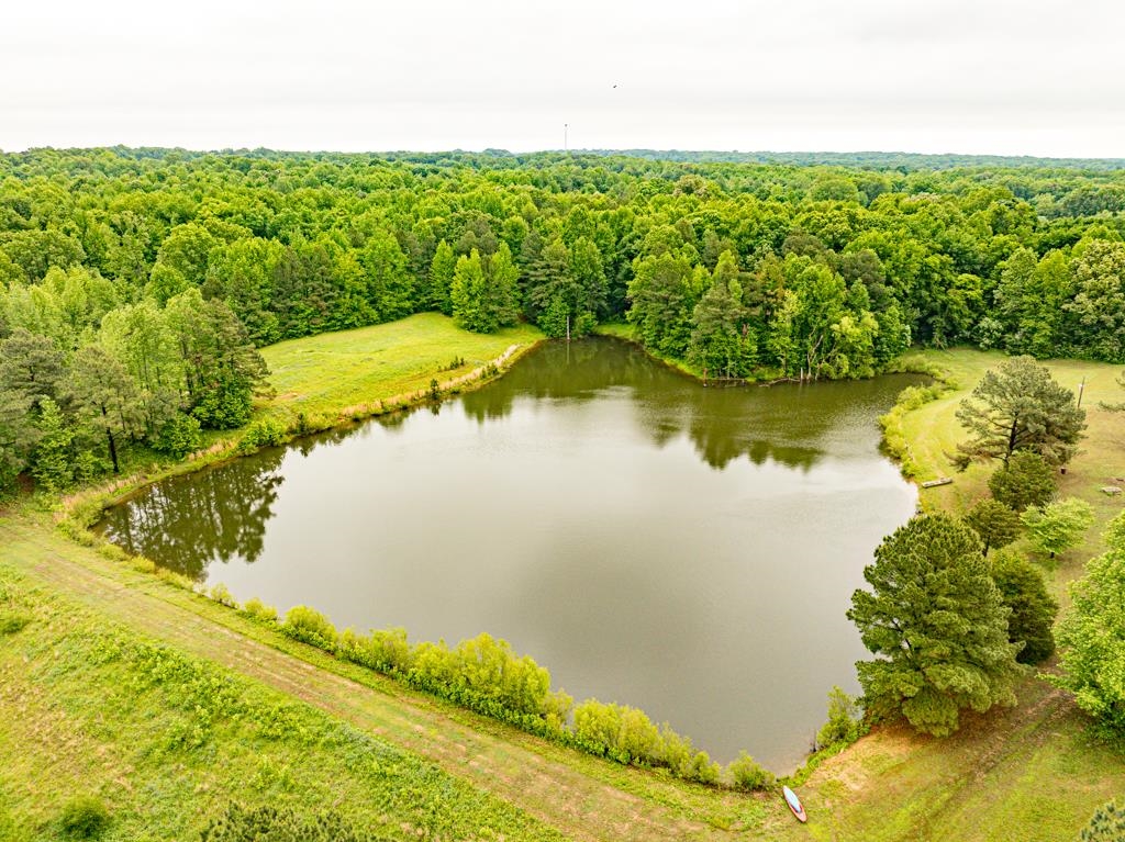 0 Poplar Grove Cemetery Road Henning, TN 38041 - Photo 15 of 40 Natural pond surrounded by lush green foliage and mature trees
