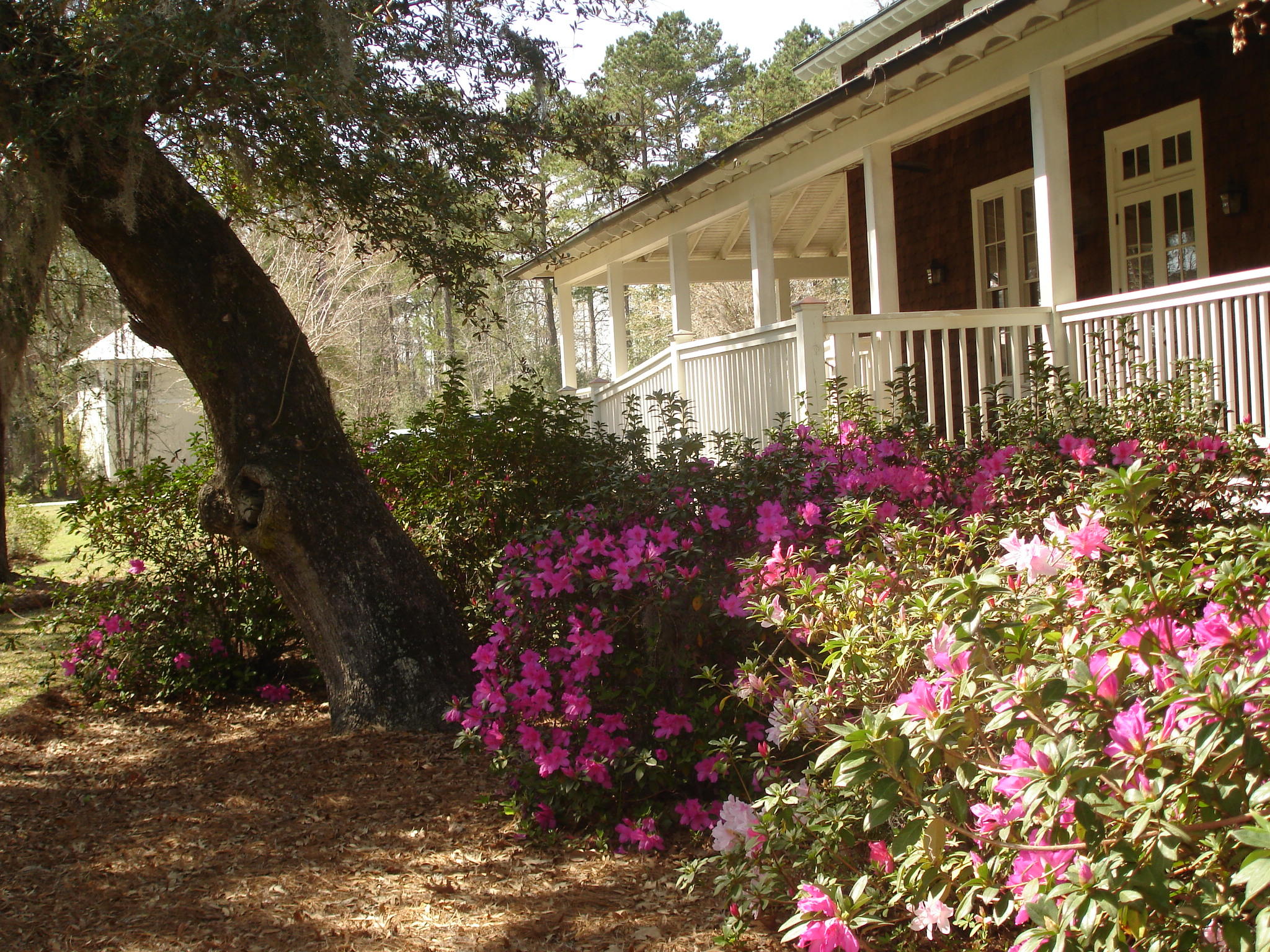 4165 Duck Club Road Ravenel, SC 29470 - Photo 55 of 79 poplar grove amenities (28)