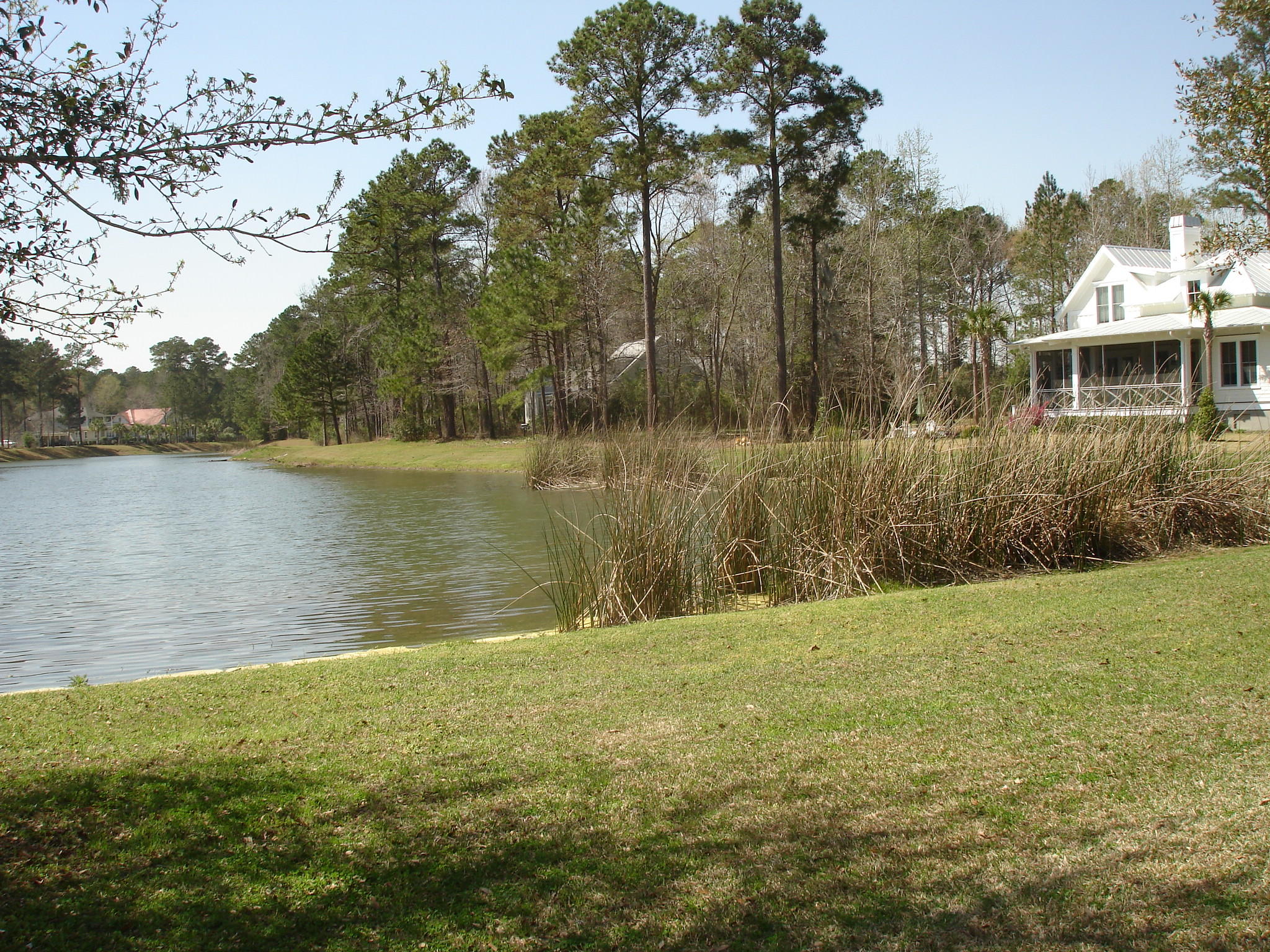 4165 Duck Club Road Ravenel, SC 29470 - Photo 67 of 79 poplar grove amenities (10)