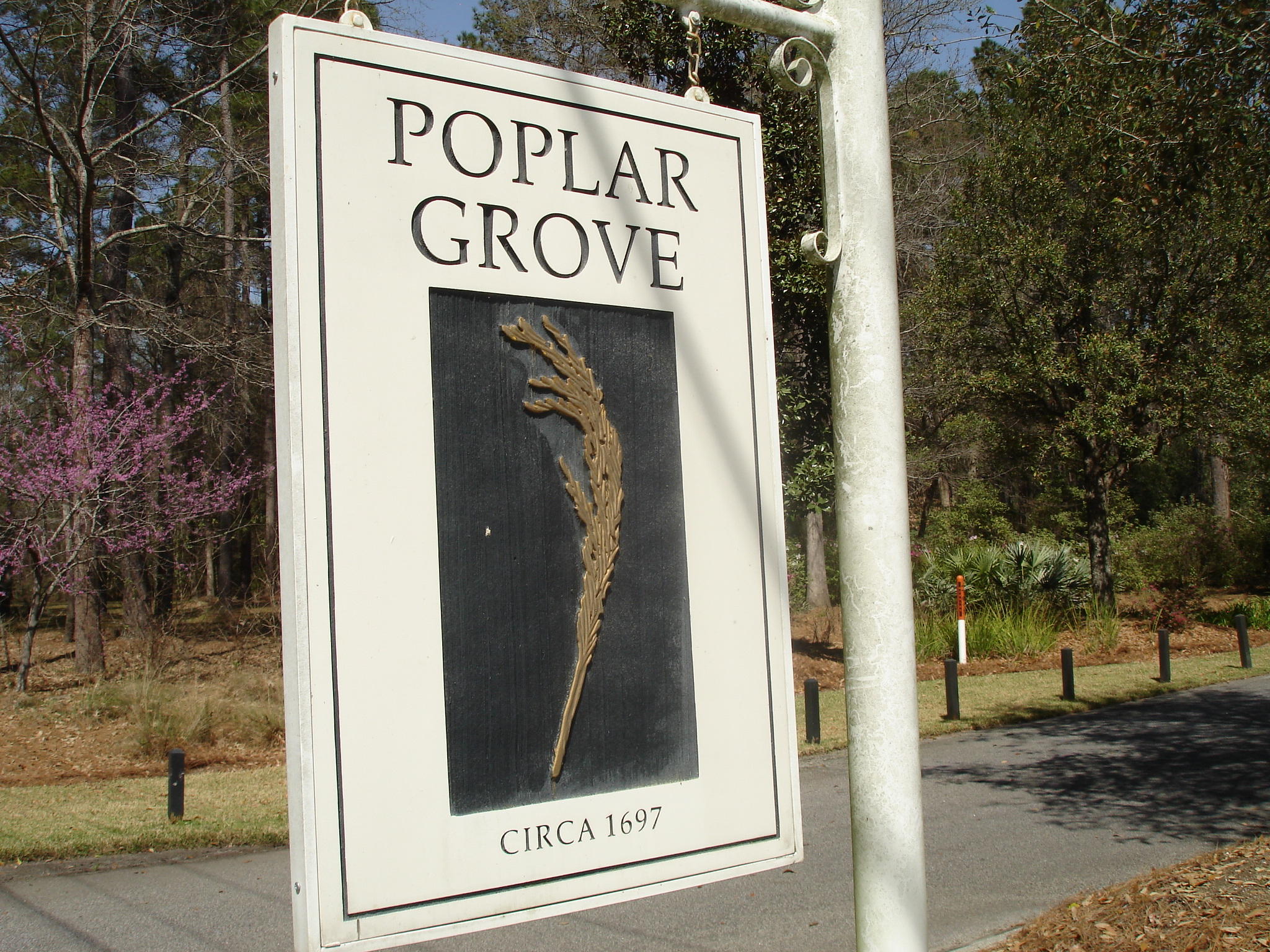 4165 Duck Club Road Ravenel, SC 29470 - Photo 72 of 79 poplar grove amenities a (45)
