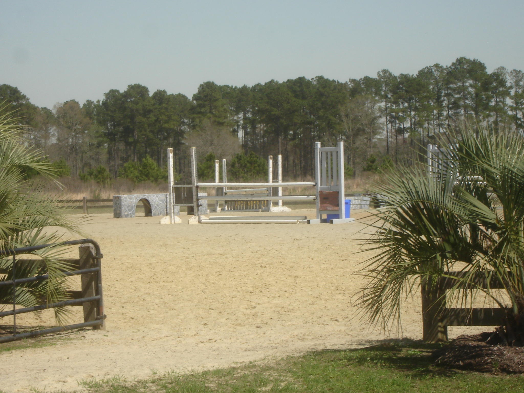 4165 Duck Club Road Ravenel, SC 29470 - Photo 77 of 79 poplar grove amenities a (39)