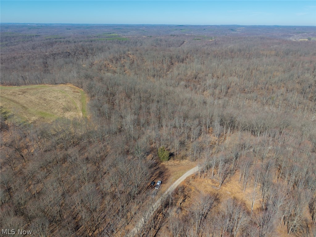 0 Clem Garvin Road Caldwell, OH 43724 - Photo 39 of 50 Drone / aerial view of a forest