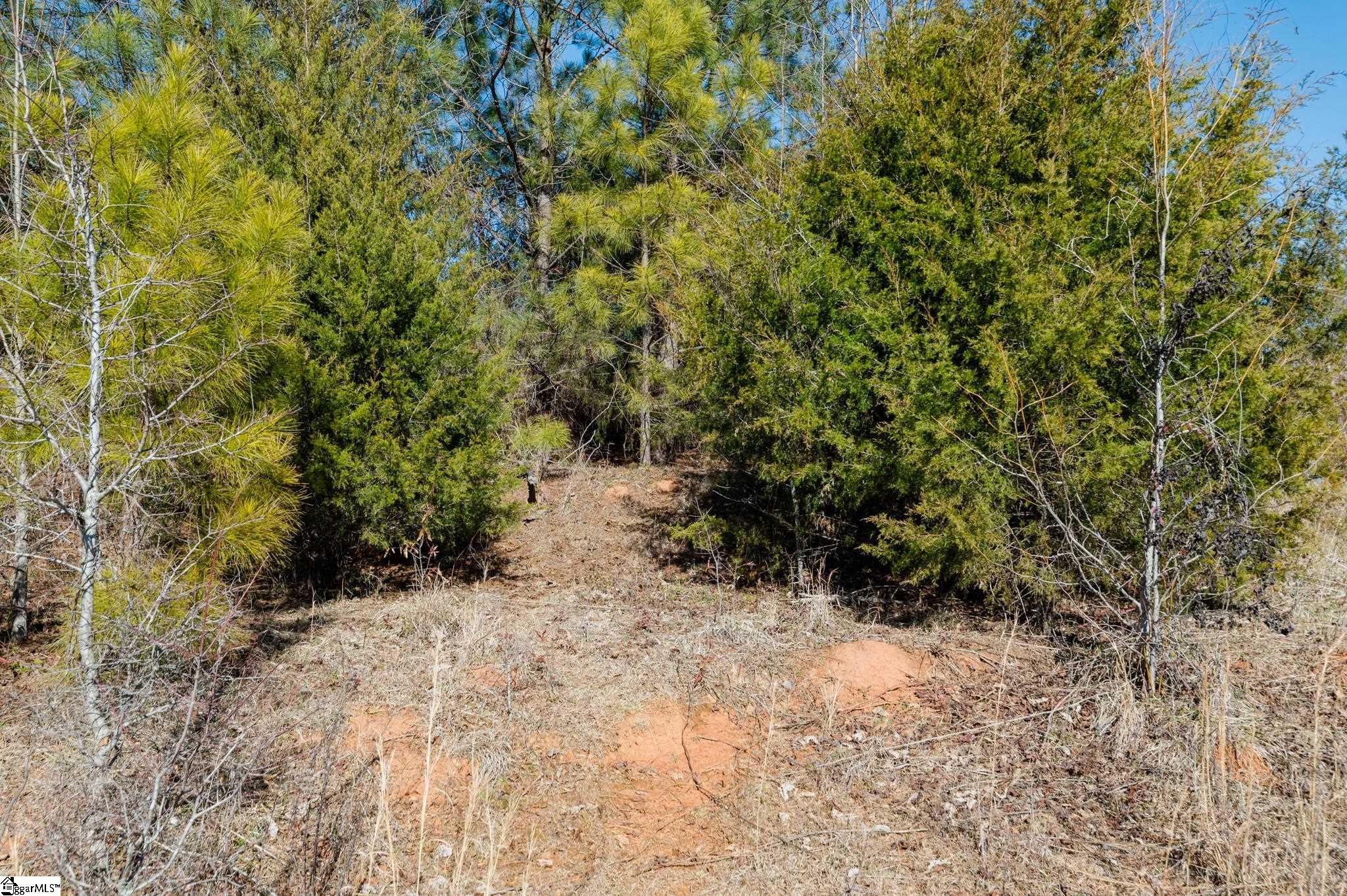 605 Farmer Street Starr, SC 29684 - Photo 28 of 30