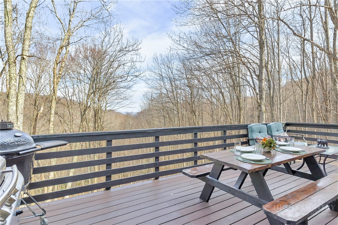 133-135 Locust Ridge Road Beech Mountain, NC 28604 - Photo 18 of 46