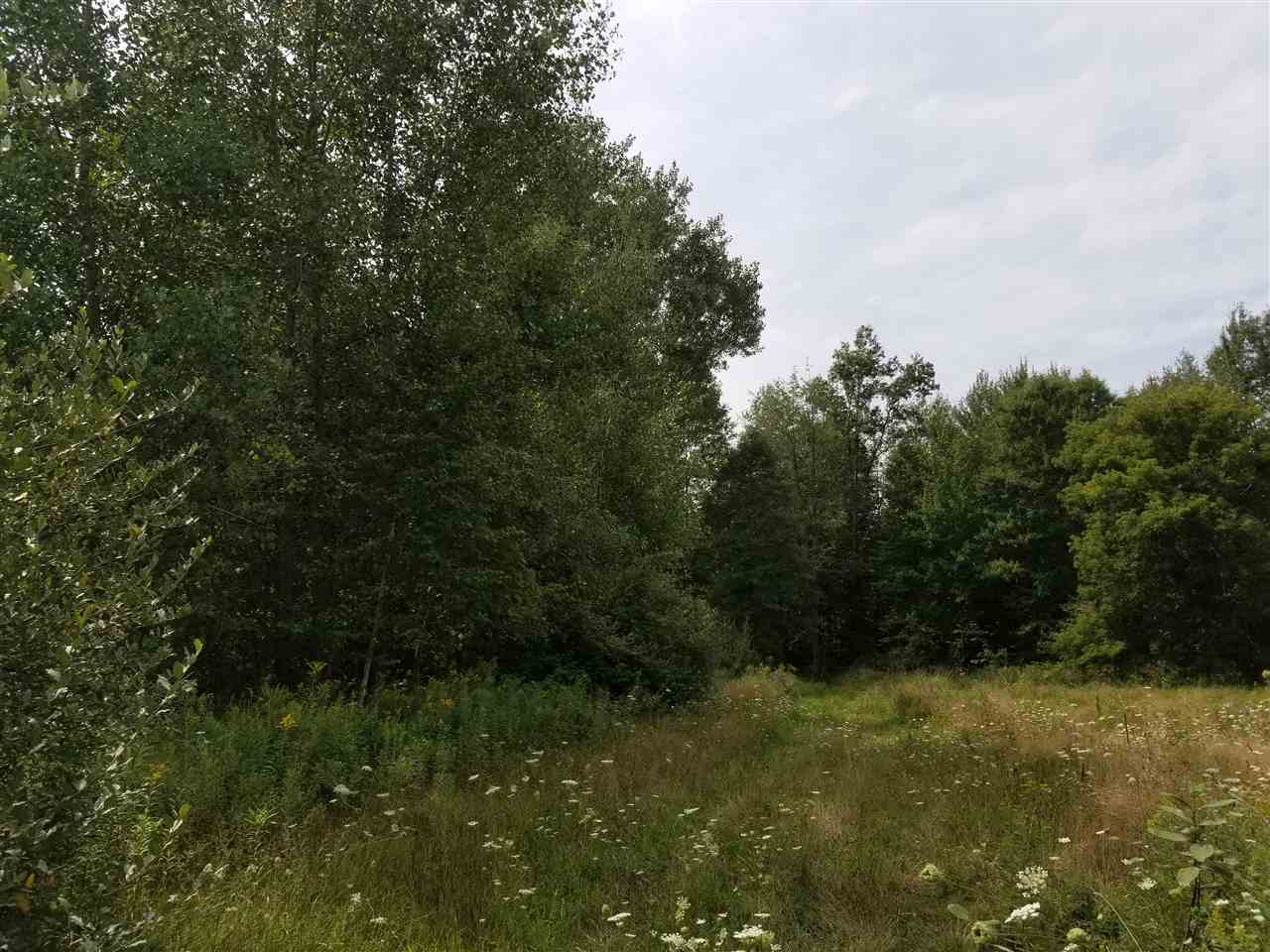 5720 South Chapin Road Merrill, MI 48637 - Photo 2 of 4